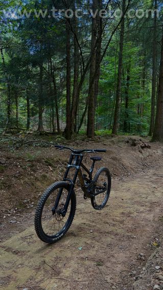 VTT DH Commencal FRS