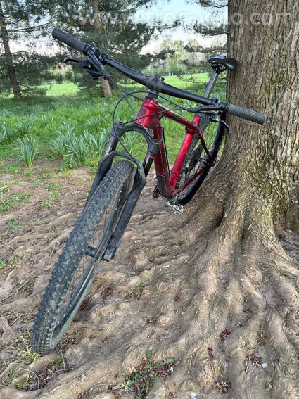 Trek procaliber 9.7 - 2