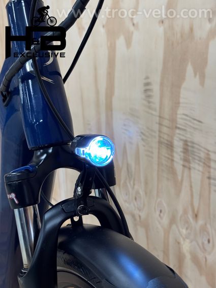 VanDijck Ceto Vélo électrique Shimano Nexus 2021 - 4