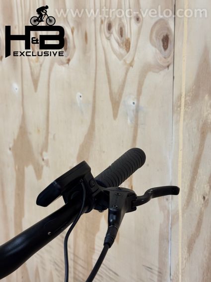 VanDijck Ceto Vélo électrique Shimano Nexus 2021 - 6