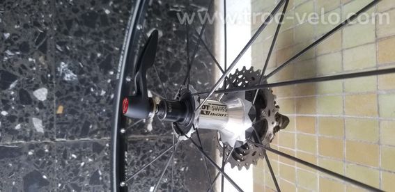 Paire de roue DT Swiss R20 - 4