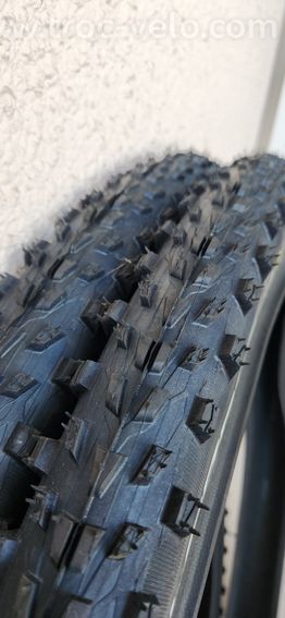 Giant stance 2 29 2021 - 10