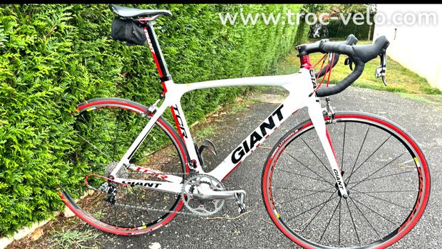 Giant TCR carbone M/L - 1