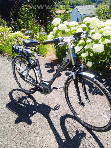 Vélo electrique à vendre