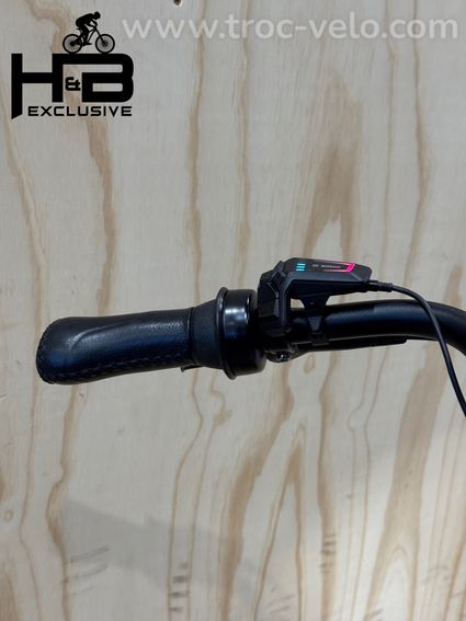 Gazelle Arroyo C5 Elite Belt Vélo électrique Shimano Nexus 2025 - 7