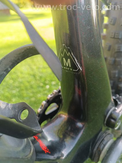 Specialized camber - 7