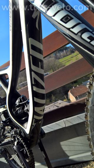 Specialized fsr demo 8/1 dh carbone Taille L - 3