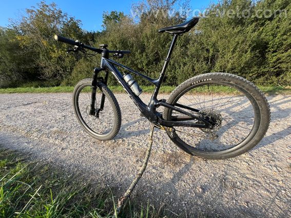 Scott Spark  - 5