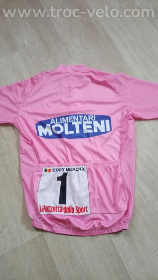 Maillot vélo Eddy Merckx - 2