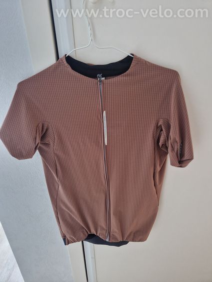 Maillot vélo Q36.5 Dottore Pro Brun