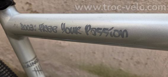 Cannondale Jekyll 2003 Dealer Edition - 9