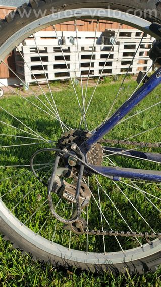 VTT Giant Hollywood sport series 17.5 pouces - 6