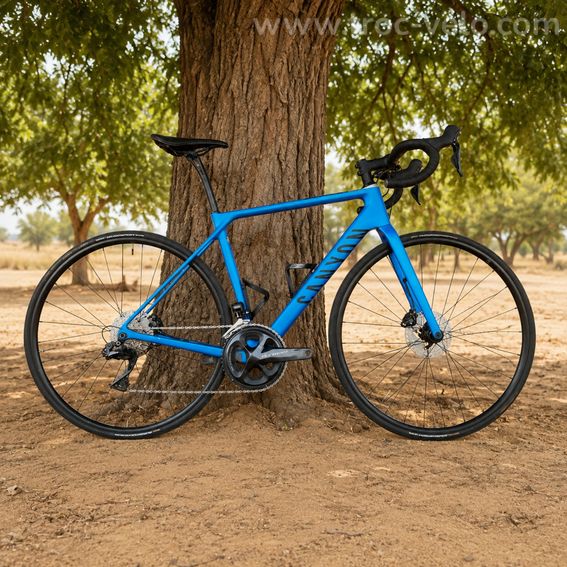 Endurace CF SL Ultegra Di2  - 2