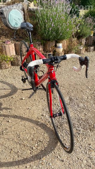 Pinarello Dogma 65.1 - 2