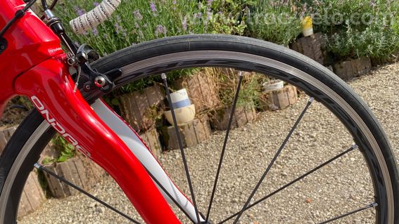 Pinarello Dogma 65.1 - 4