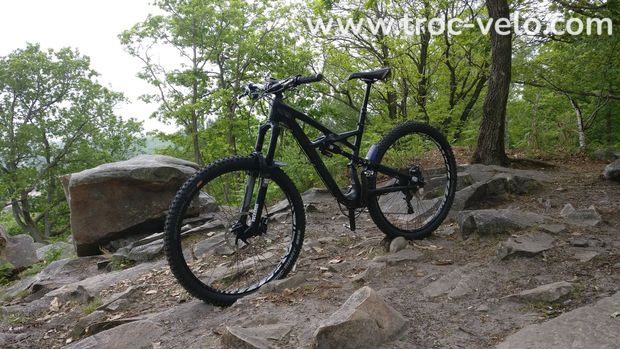 Specialized Enduro Expert Carbon 29 - 5