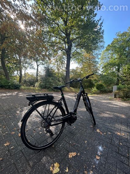 Cube Delhi hybrid Pro - 3