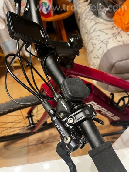 vends  vélo gravel ferrus lady électrique - 3