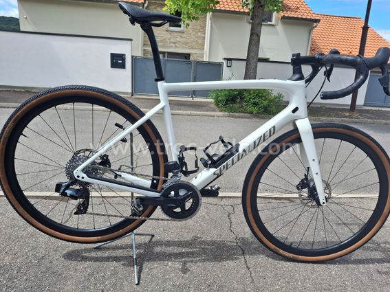 Specialized diverge expert carbon