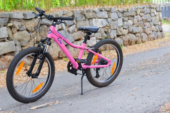 Vélo Enfant Giant Liv - 2