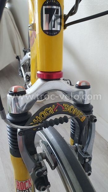VTT Vintage TREK OCLV Y33 Taille L equipe SHIMANO XTR Roues MAVIC TREK 92170 Troc Velo