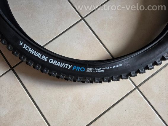 Tachy Chan Schwalbe