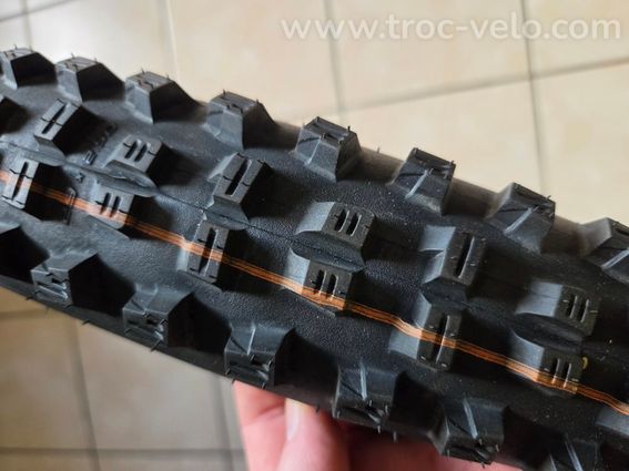 Tachy Chan Schwalbe - 2