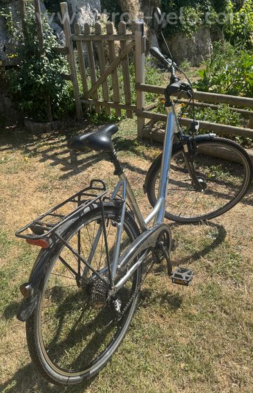 VTC dame Raleigh - 3