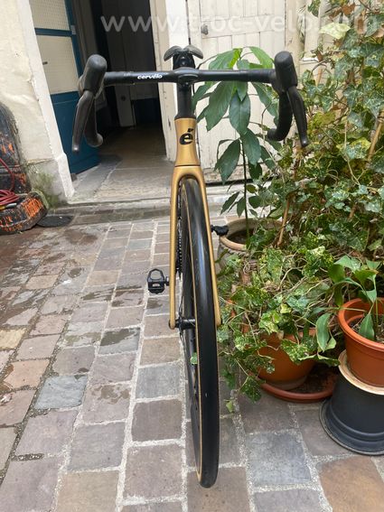 Soloist 2024 - cintre intégré - 5