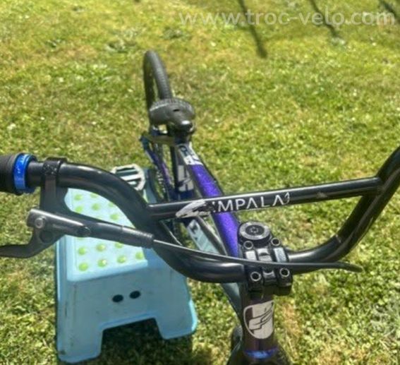 BMX Race PURE Expert XL fourche Carbone - 4