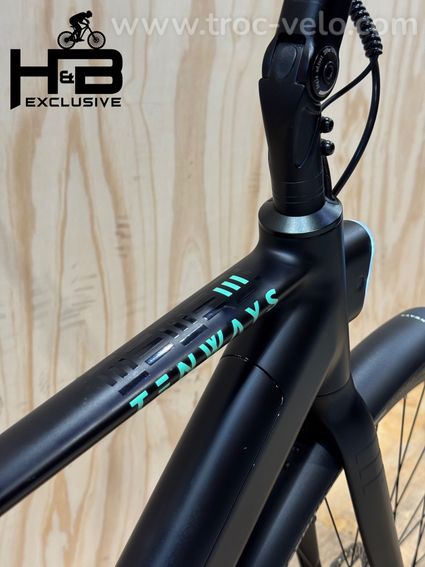 Tenways CGO600 Pro Vélo électrique Single-Speed 2023 - 9
