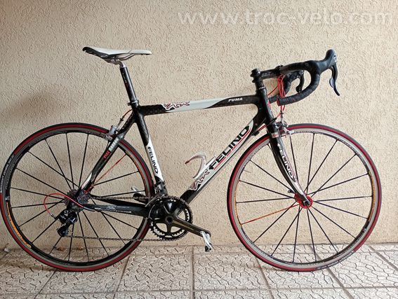 Felino Puma 2004
