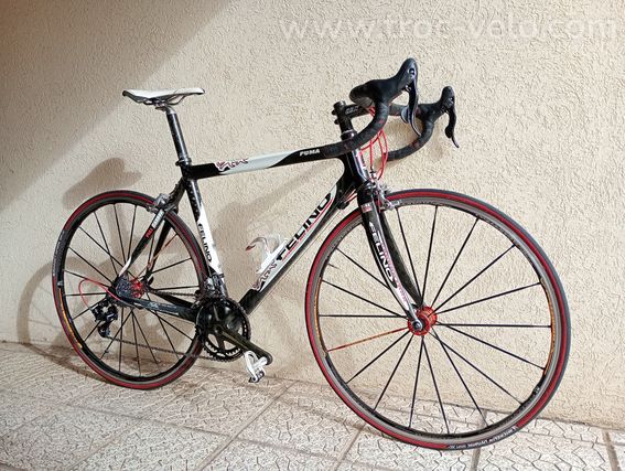 Felino Puma 2004 - 2
