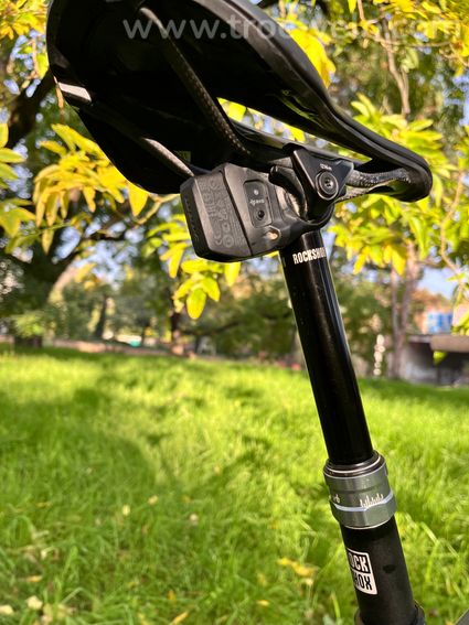 S-Works Epic Evo RS LTD  - 15