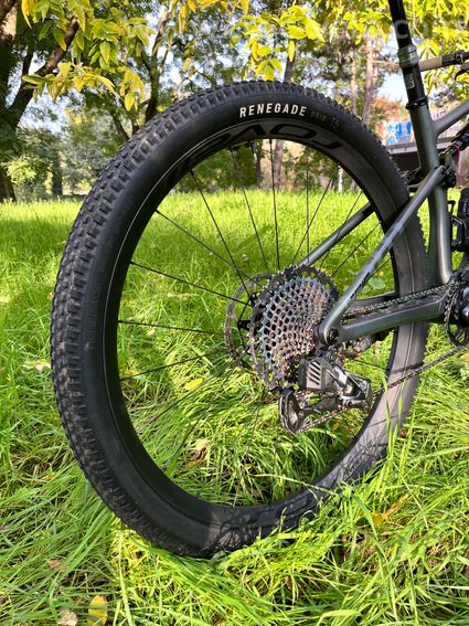 S-Works Epic Evo RS LTD  - 11