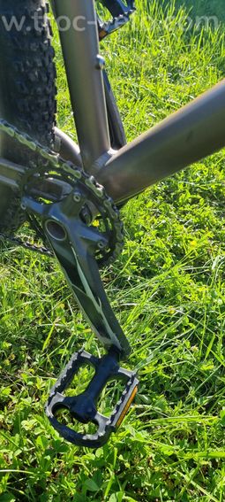 VTT Orbea alma taille L - 2