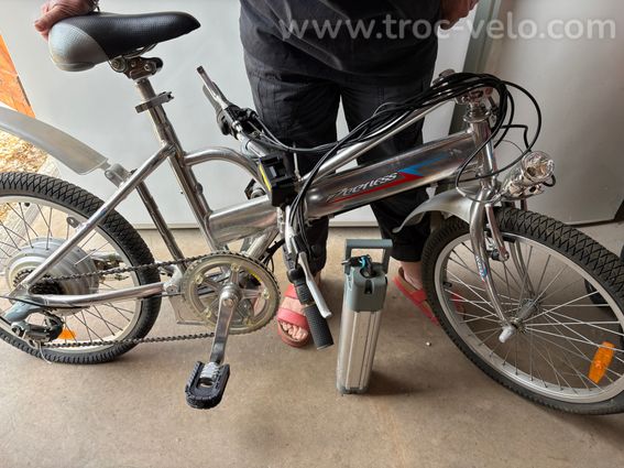 Vélo électrique pliant TDN10 peerless