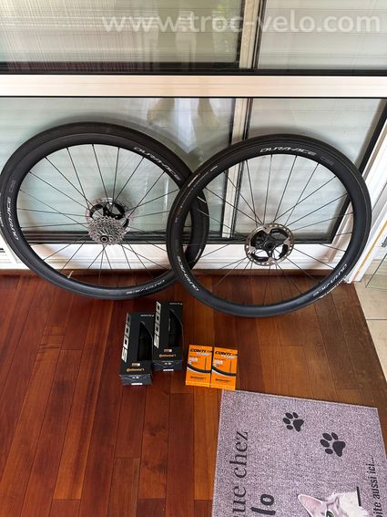 Shimano C36 - C50 - 4