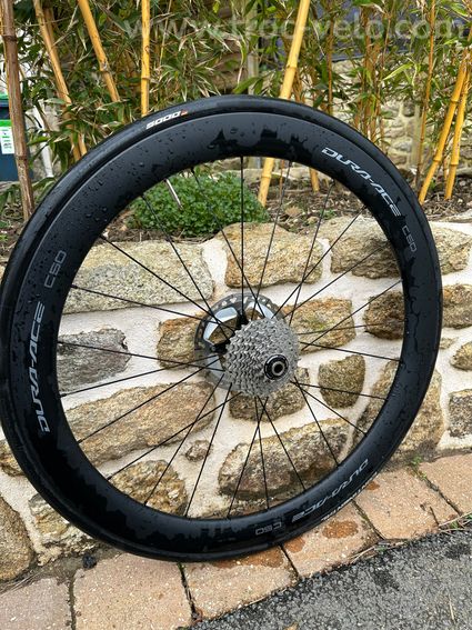 Shimano C36 - C50 - 8