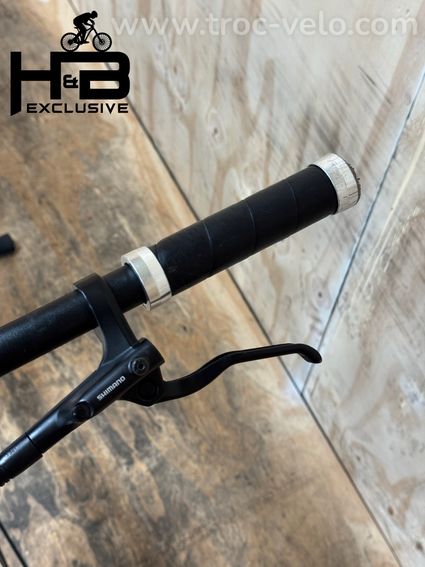 Rose Sneak Plus EQ Vélo électrique Mahle 2023 - 5