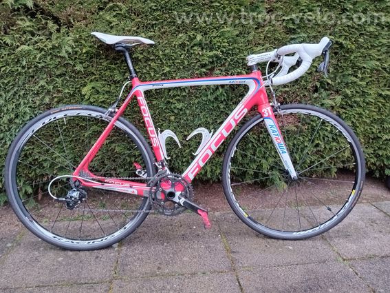 Focus izalco - 2