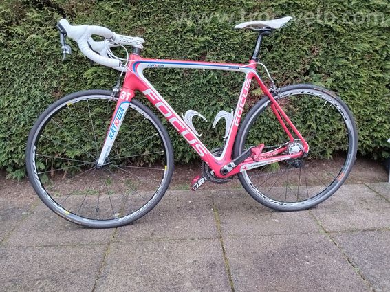 Focus izalco - 3