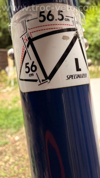 Specialized secteur - 2