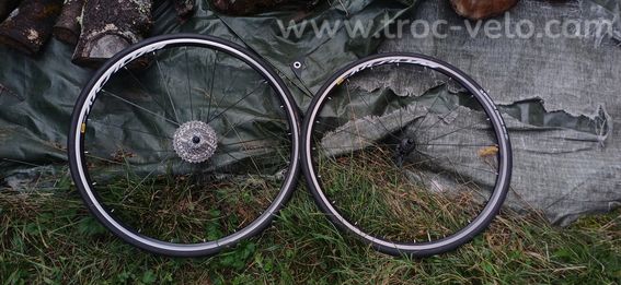 Velo de route ALLOS - 6