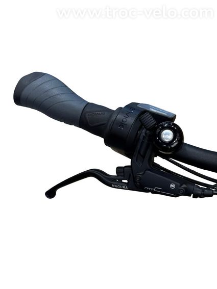 Riese & Müller Nevo4 GT Vario ABS Vélo électrique Enviolo 2024 - 5