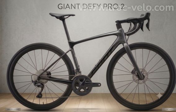 GIANT DEFY PRO2 CARBONE