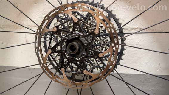 DT Swiss XMC 1200 Spline 29" - 7