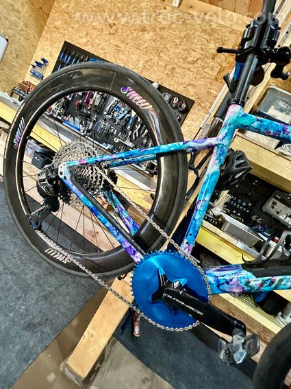 Specialized diverge expert - 2