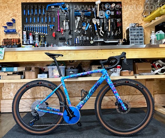Specialized diverge expert - 3