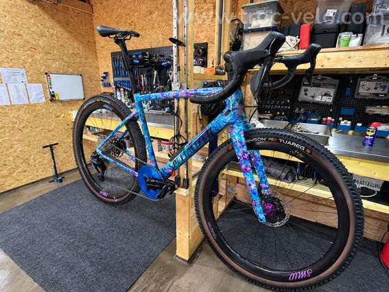 Specialized diverge expert - 4